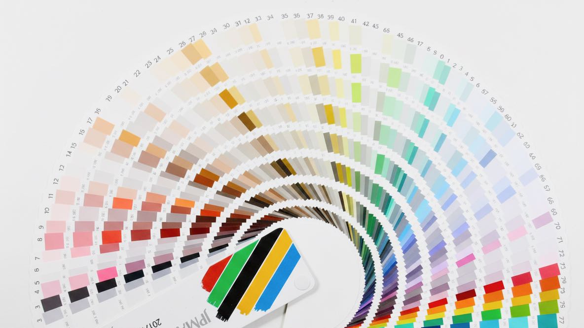 色選びのポイント